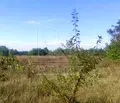 Снимка 5 — Земеделски имот в Пловдив, с. Браниполе