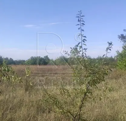 Photo 5 — Agricultural Land in Oblast Plovdiv, Branipole