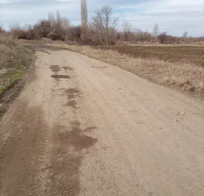 Photo 3 — Plot in Negovan