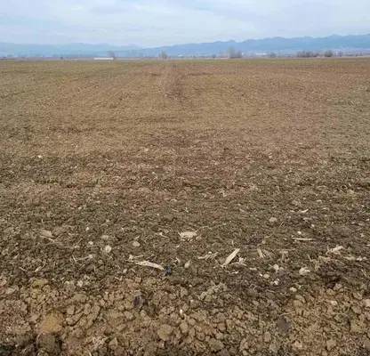Photo 4 — Plot in Negovan