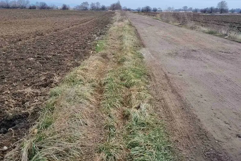 Plot in Negovan
