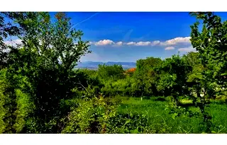 Парцел в с. Лозен