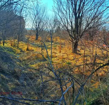 Photo 2 — Plot in Sofiya, Gorublyane