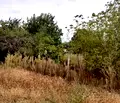Снимка 4 — Парцел във Варна, м-т Боровец - юг