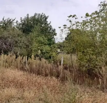 Снимка 4 — Парцел във Варна, м-т Боровец - юг