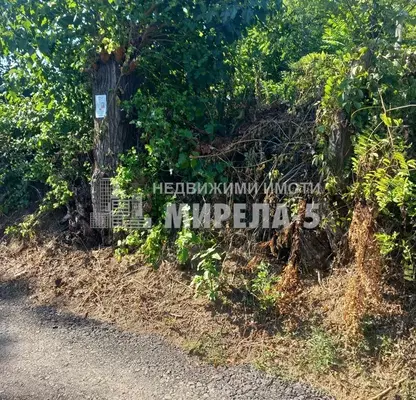 Photo 4 — Plot in Ruse, Rusofili