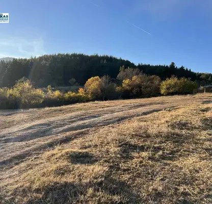 Photo 2 — Plot in Oblast Blagoevgrad, Bachevo