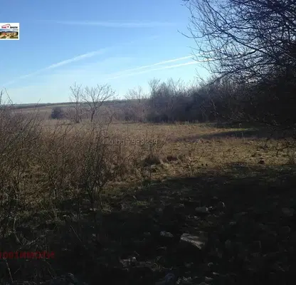 Photo 5 — Plot in Dobrich, Bejanovo
