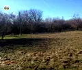 Снимка 3 — Парцел в Добрич, с. Бежаново