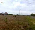 Снимка 3 — Парцел в Добрич, с. Топола