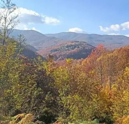 Photo 3 — Plot in Gabrovo, Stomanecite