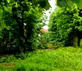 Снимка 3 — Парцел в Ловеч, с. Карлуково