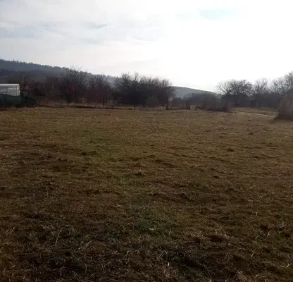 Снимка 3 — Парцел в Перник, с. Видрица