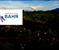 Снимка 2 — Парцел в Пловдив, с. Богдан