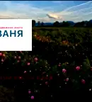 Парцел в Пловдив, с. Богдан