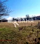Парцел в Пловдив, с. Иганово