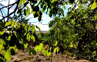 Парцел в Русе, с. Ново село