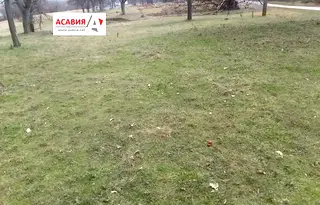 Парцел в София, Правец