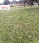 Парцел в София, Правец