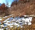 Снимка 3 — Парцел в София, Своге