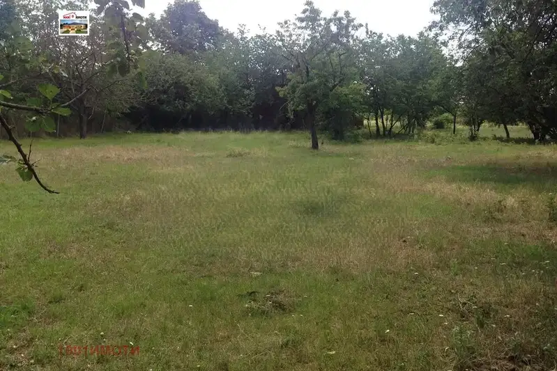 Plot in Oblast Varna, Chervenci
