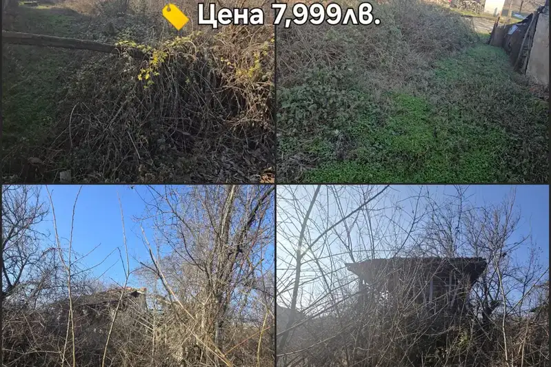 Plot in Oblast Vidin, Drujba