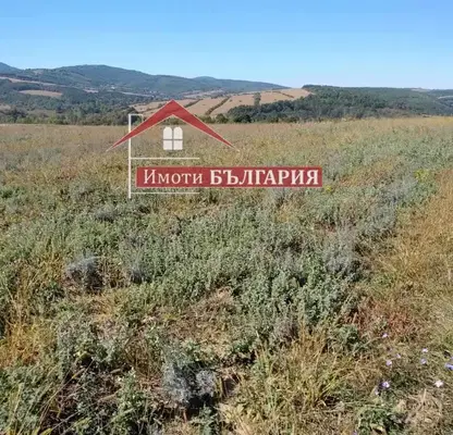 Photo 3 — Agricultural Land in Oblast Tyrgovishte, Tyrgovishte