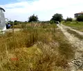Снимка 4 — Парцел в Пловдив, с. Първенец