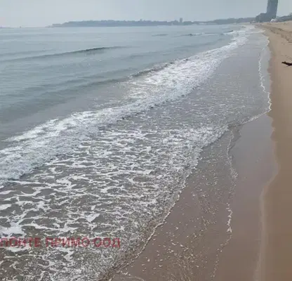 Снимка 2 — Едностаен апартамент в Бургас, Свети Влас