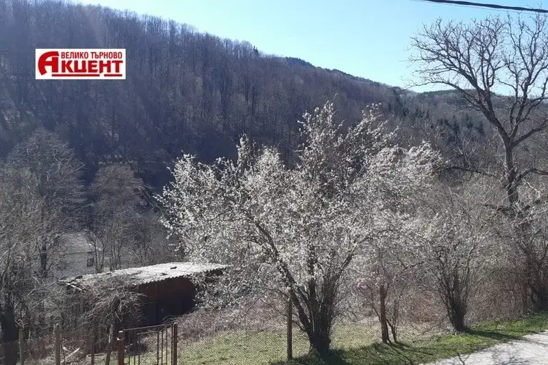 House in Oblast Gabrovo, Plachkovci