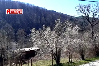 Къща в Габрово, Плачковци