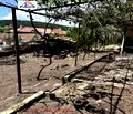 Снимка 2 — Къща в Кюстендил, Бобов дол
