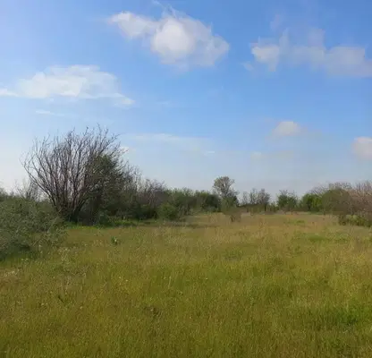 Снимка 4 — Къща в Стара Загора, с. Трънково