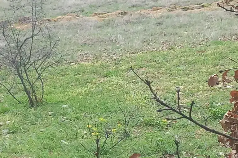 Къща в Стара Загора, с. Винарово