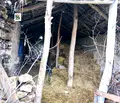 Снимка 5 — Къща във Варна, с. Кривня