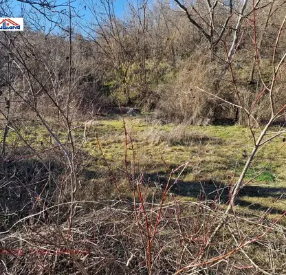 Photo 2 — Agricultural Land in Oblast Kyustendil, Dupnica