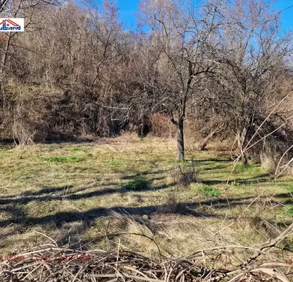 Photo 5 — Agricultural Land in Oblast Kyustendil, Dupnica