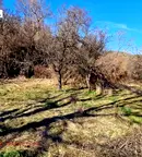 Земеделски имот в Кюстендил, Дупница