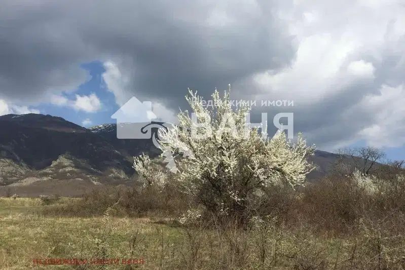 Agricultural Land in Oblast Plovdiv, Karlovo