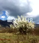 Земеделски имот в Пловдив, Карлово
