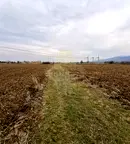 Земеделски имот в Пловдив, Пловдив