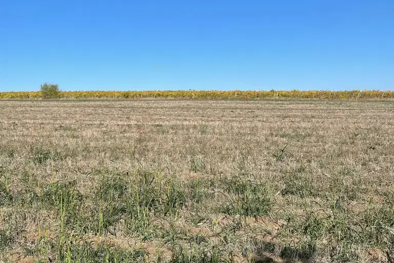 Arable Land in Veliko Tyrnovo, Lyaskovec