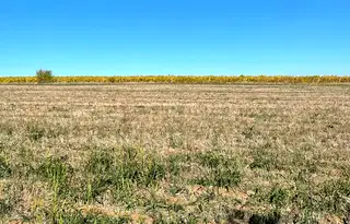 Земеделски имот във Велико Търново, Лясковец