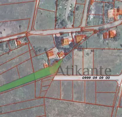Photo 4 — Plot in Voluyak
