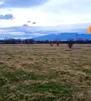 Парцел в с. Волуяк
