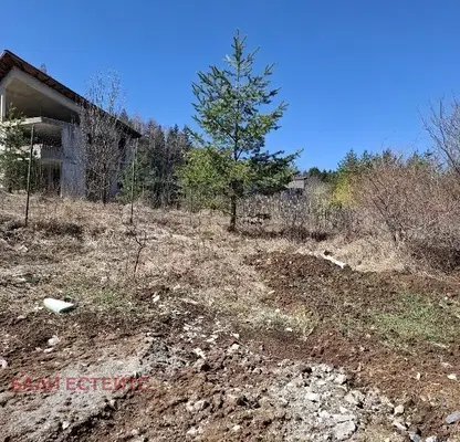Photo 5 — Plot in Bistrica
