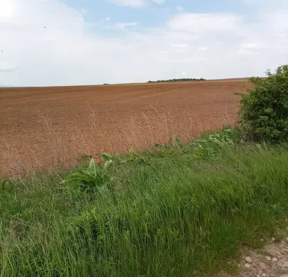 Photo 2 — Plot in Voinegovci
