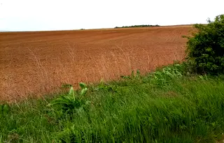 Парцел в с. Войнеговци