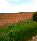 Парцел в с. Войнеговци