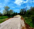 Снимка 2 — Парцел в с. Войнеговци